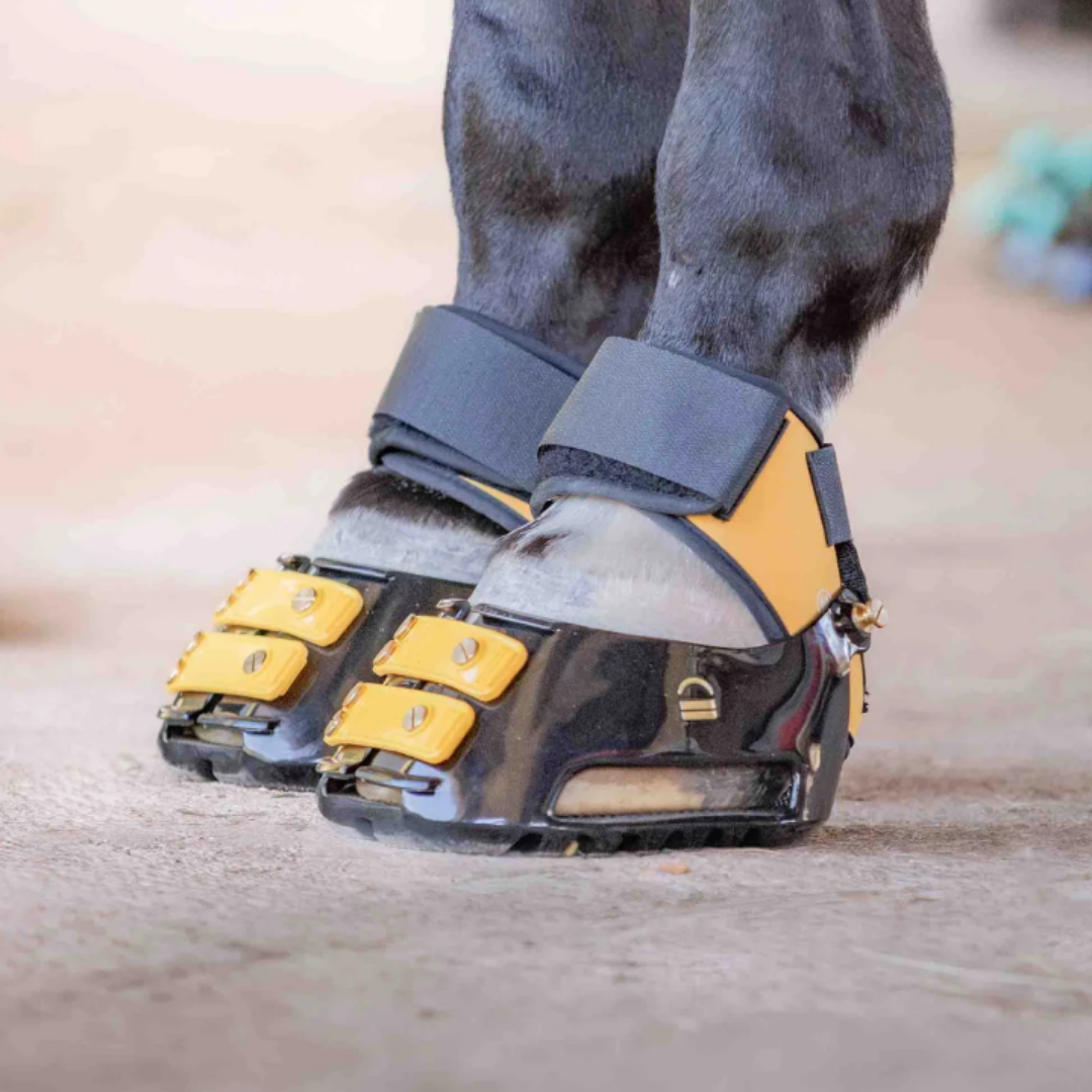 Scootboot MultiPurpose Gaiter in Marigold on Horse