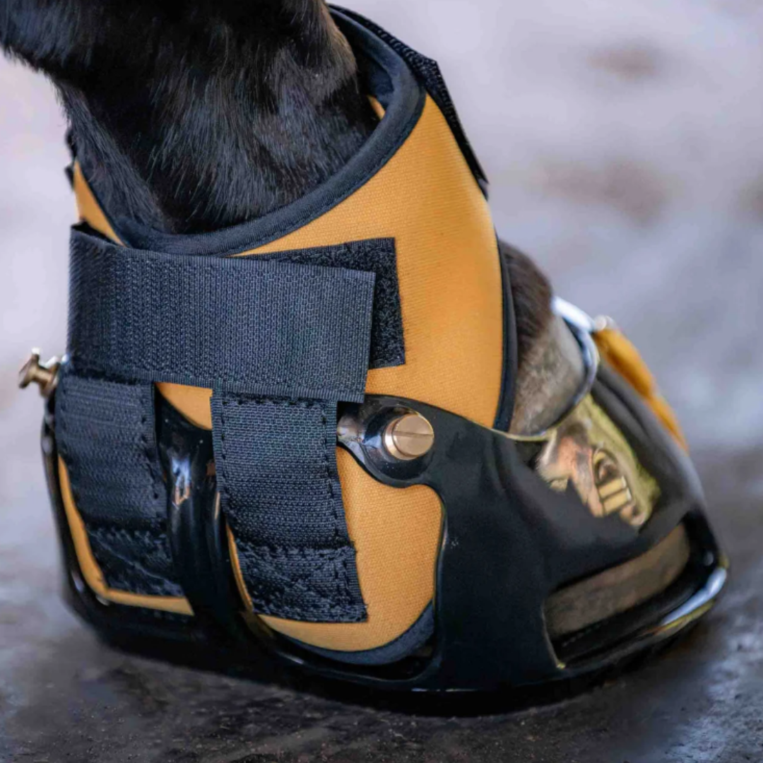 Scootboot MultiPurpose Gaiter in Marigold on Horse BacK View