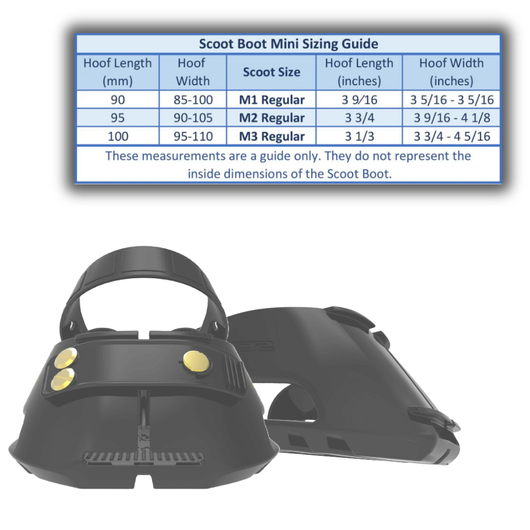 Scootboot Classic Mini and Size Chart