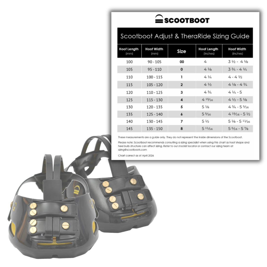 Scootboot Theraride and Size Chart