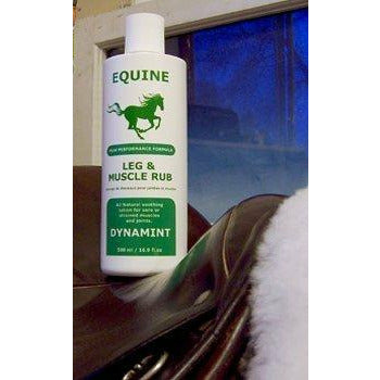 Equine Dynamint Leg and Muscle on Saddle