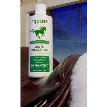 Equine Dynamint Leg and Muscle Rub Topical Wound and Skin Care Gray