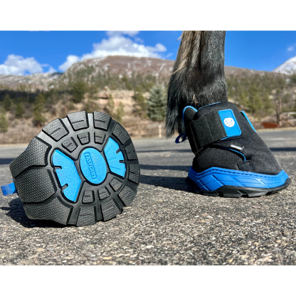 EasyCare Easyboot Rx2 on Horse Showing Tread