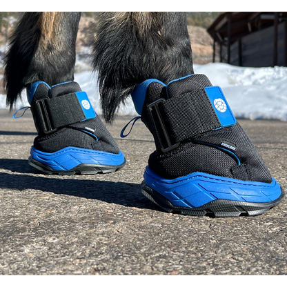 EasyCare Easyboot Rx2 on Horse