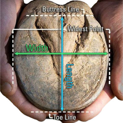 EasyCare Hoof Measurement Information