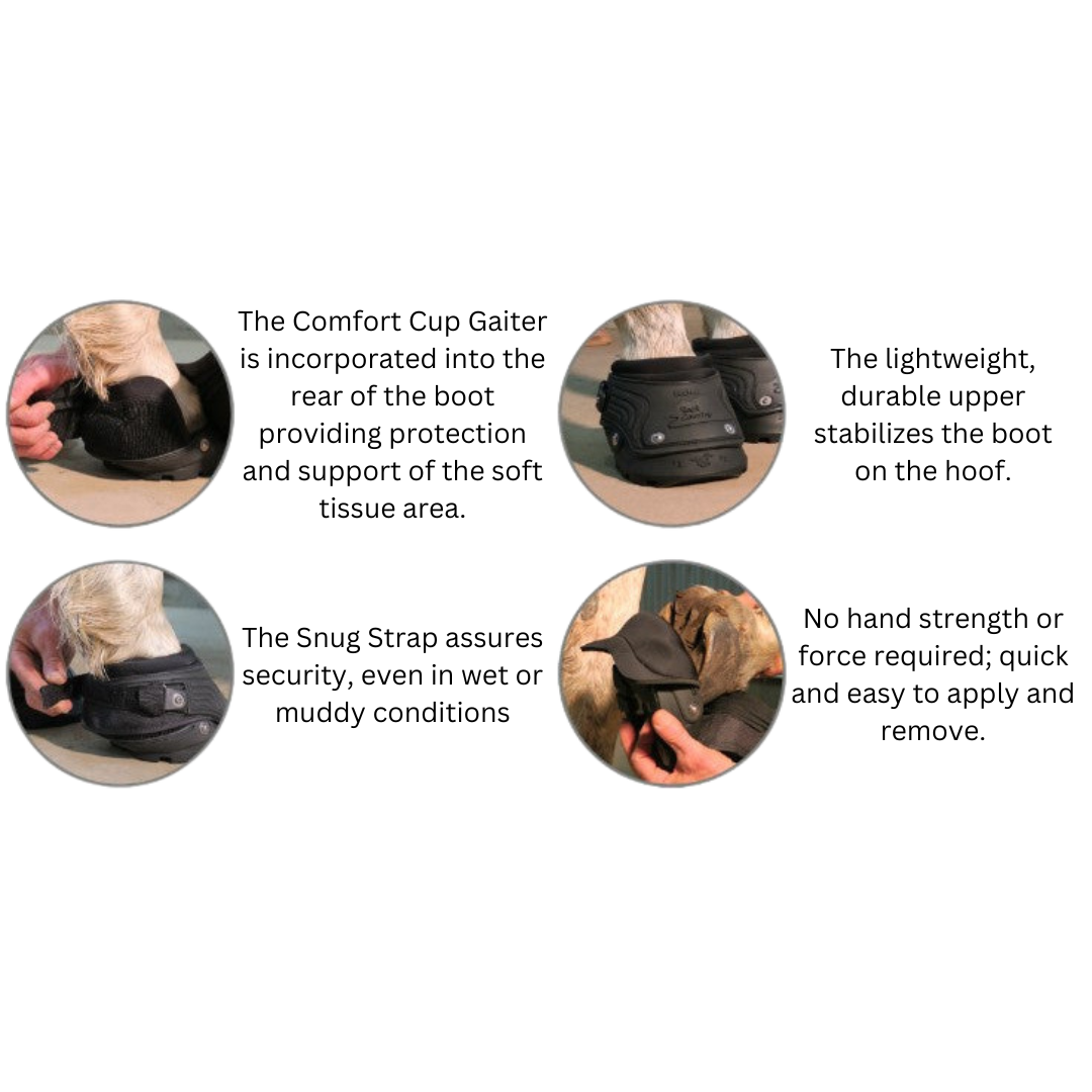 Easyboot 2025 back country