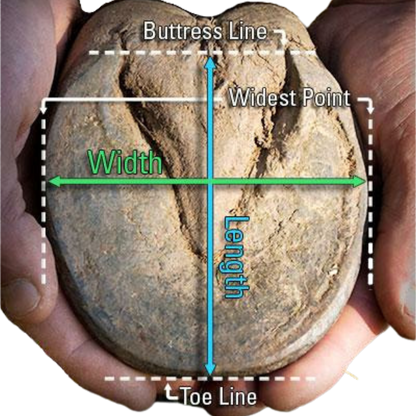 EasyCare Easyboot Fury Sling Hoof Measurement Guide