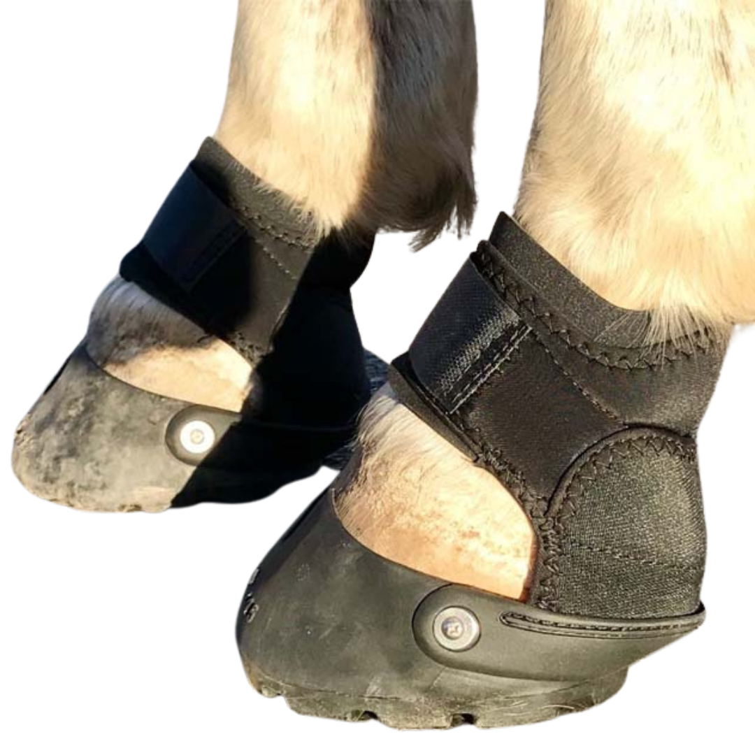 EasyCare Easyboot Glove Soft on Horse