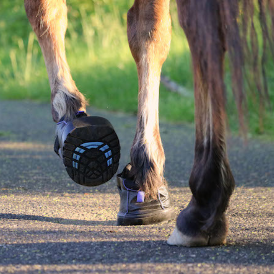 Easyboot Sneaker - Single Boot *Special Order Only* Hoof Care Dim Gray