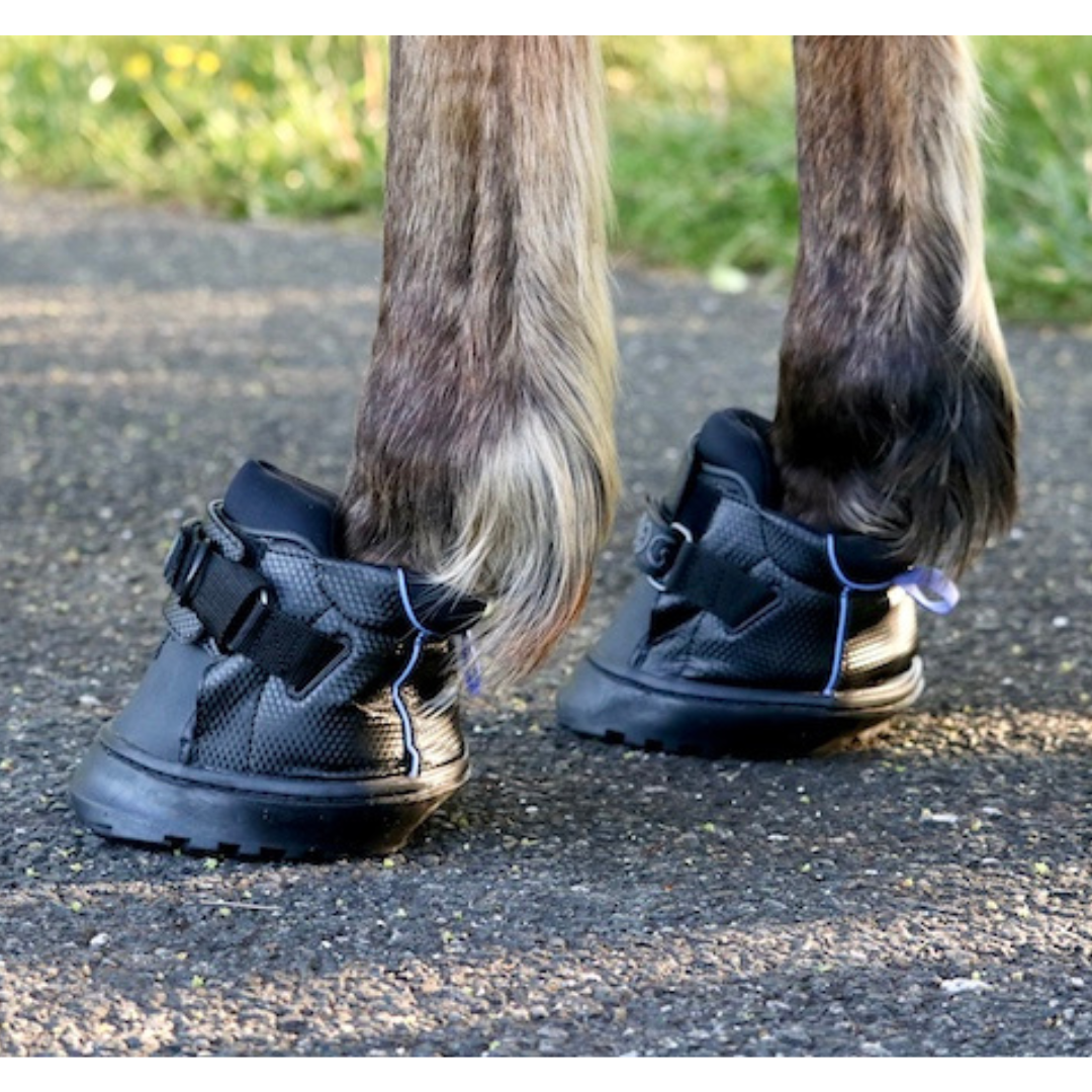 Easyboot Sneaker - Single Boot *Special Order Only* Hoof Care Slate Gray