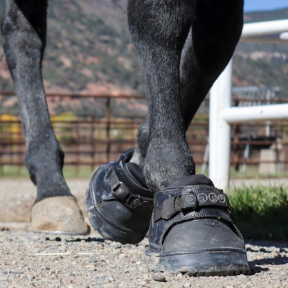 EasyCare Easyboot Sneaker on Moving Horse