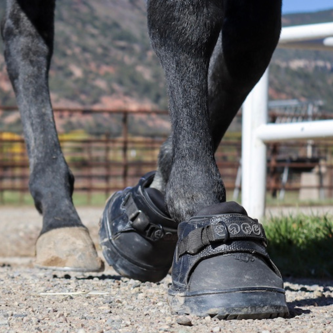 Easyboot Sneaker - Single Boot *Special Order Only* Hoof Care Dark Slate Gray