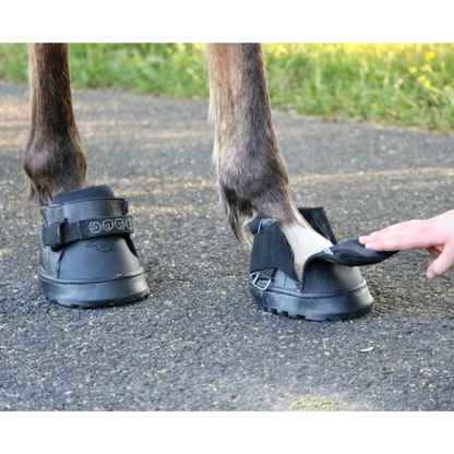 EasyCare Easyboot Sneaker Open on Horse