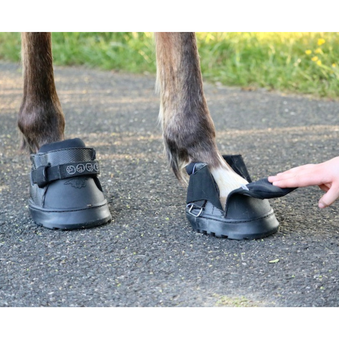 EasyBoot Sneaker - NEW *Special Order Only* Hoof Care Light Slate Gray