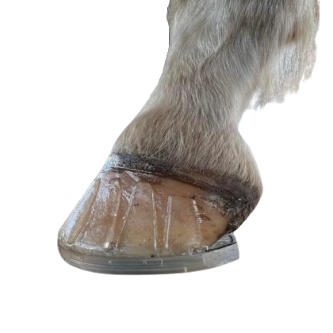 EasyShoe 3D Hoof Care Dim Gray