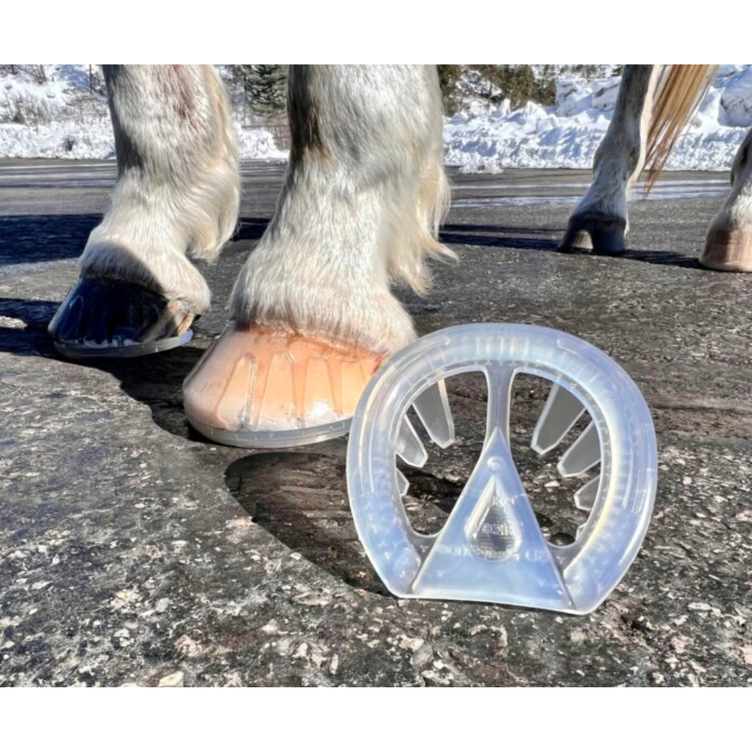 EasyCare EasyShoe 3D on Horse