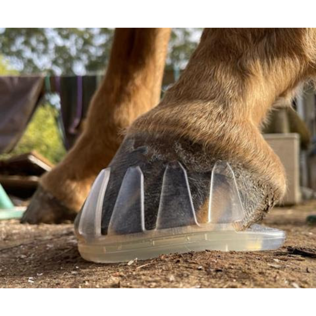EasyCare EasyShoe 3D Showing Soul Flexibility