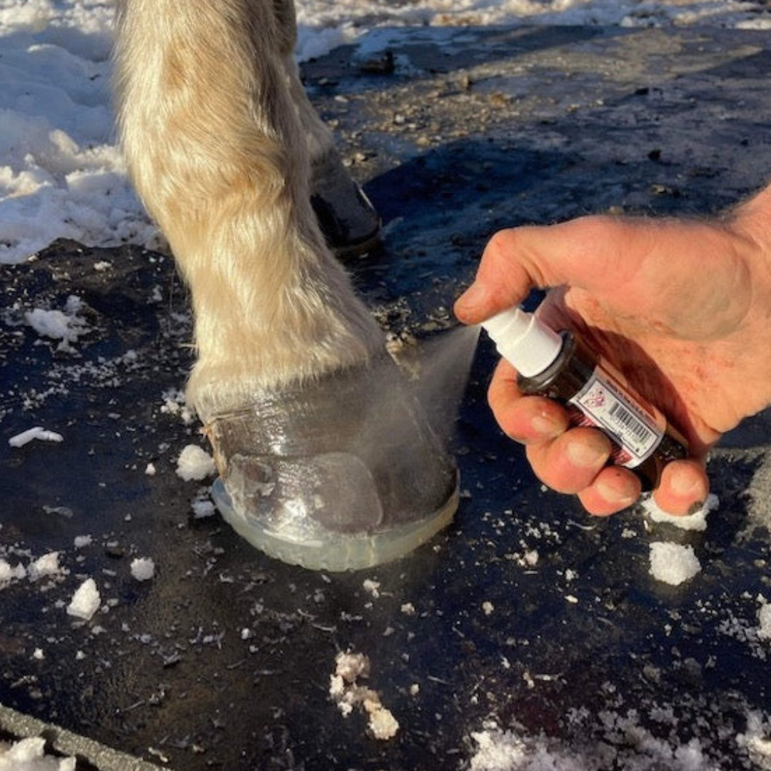 EasyShoe Insta Set Super Glue Accelerator Horse Gear Canada Ltd easyshoe-insta-set-super-glue-accelerator-horse-gear-canada-ltd