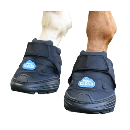 EasyCare Easyboot Cloud Boot on Horse