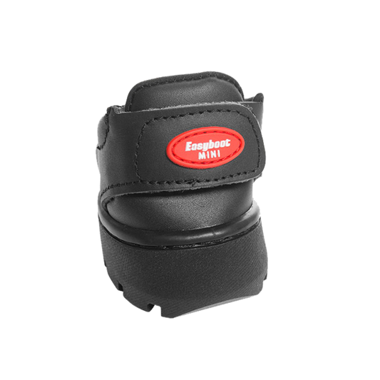 EasyBoot Mini Front angle