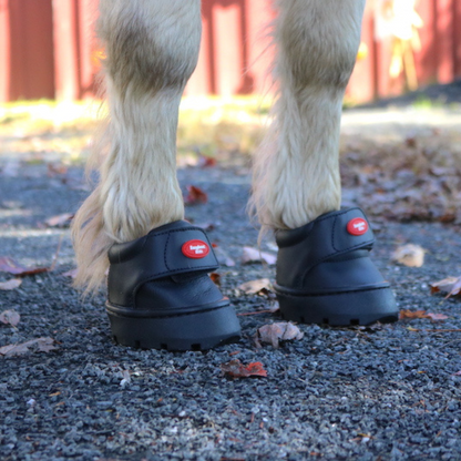 Easyboot Mini toe angle on horse