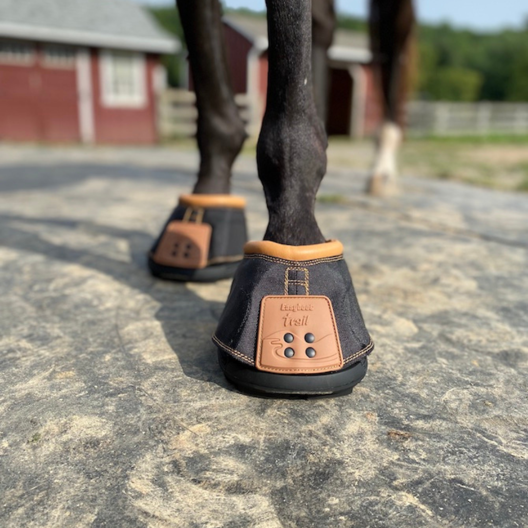 EasyCare Easyboot Trail Original on Horse