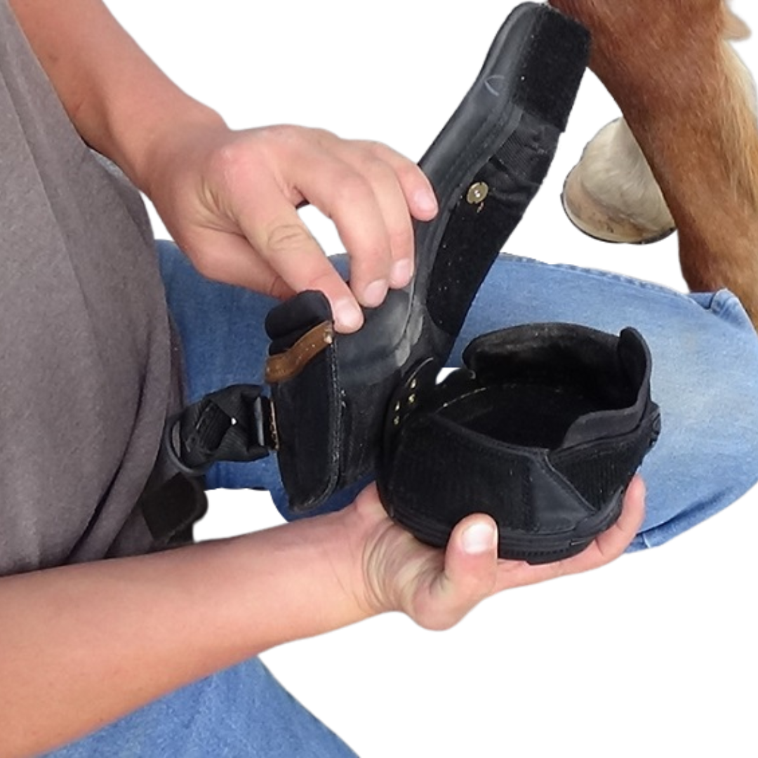 Easyboot Trail Single Boot Special Order