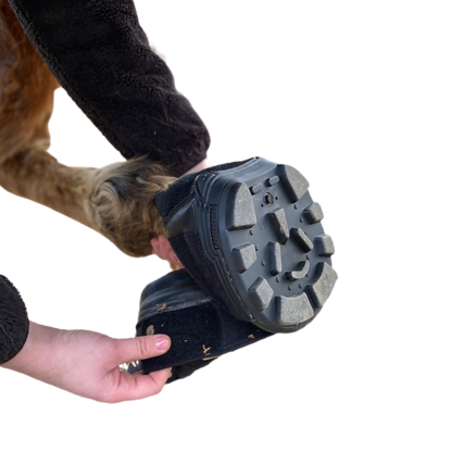 EasyCare Easyboot Trail on Horse Tread View