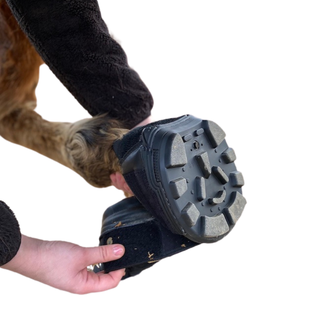 EasyCare Easyboot Trail on Horse Tread View