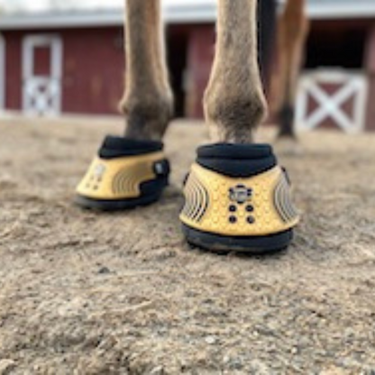 EasyCare Easyboot Trail on Horse Front View