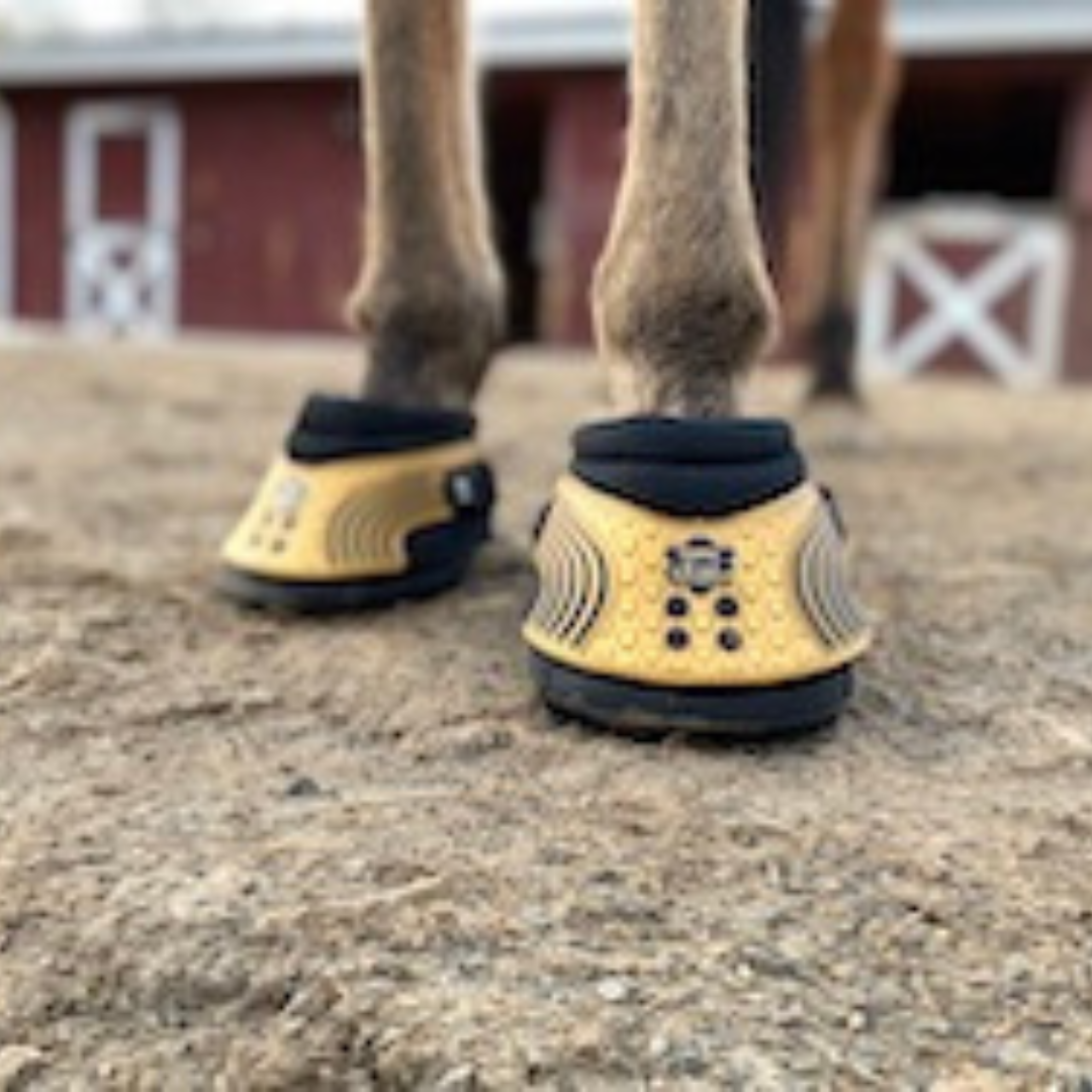 EasyCare Easyboot Trail on Horse Front View