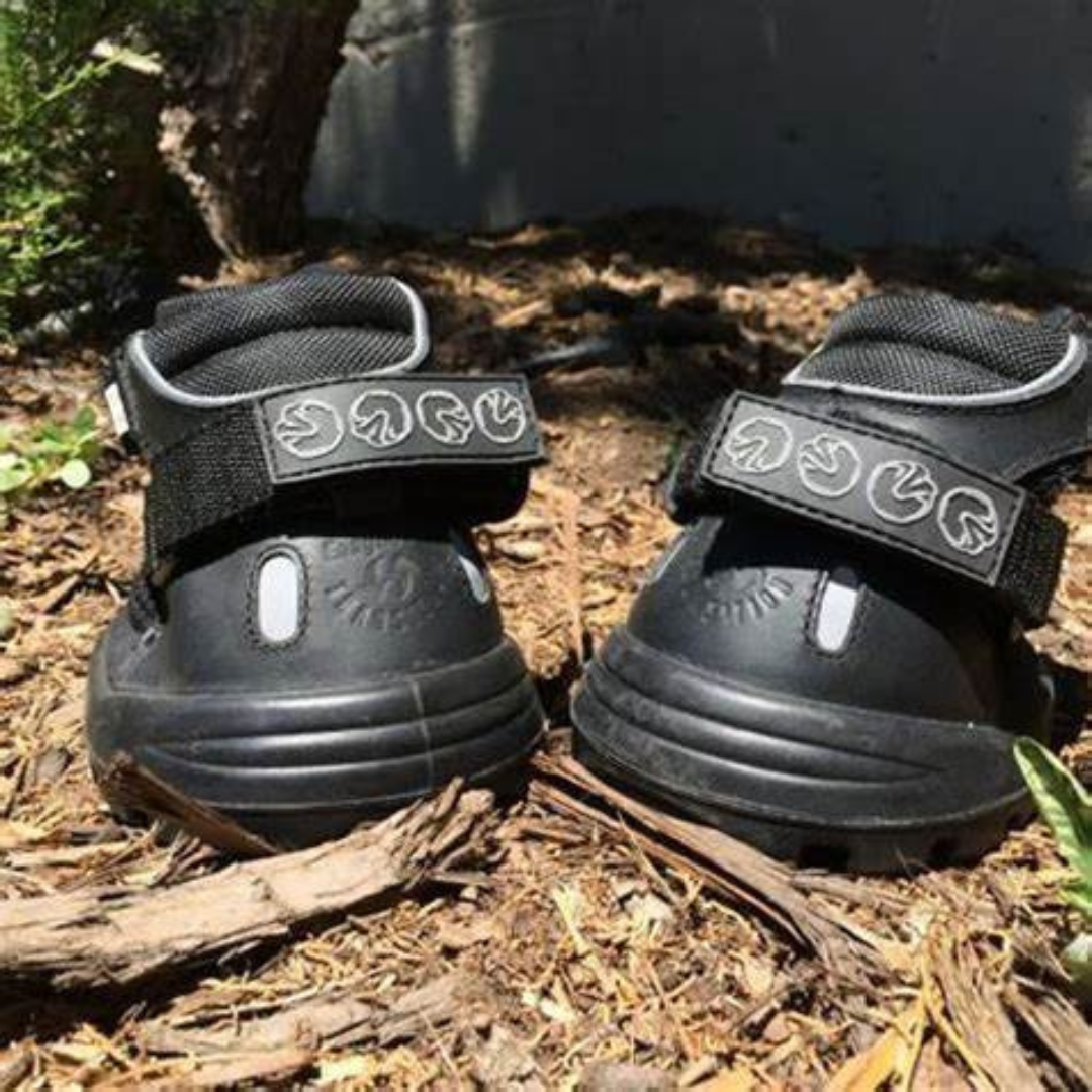 EasyCare Easyboot Transition Pair