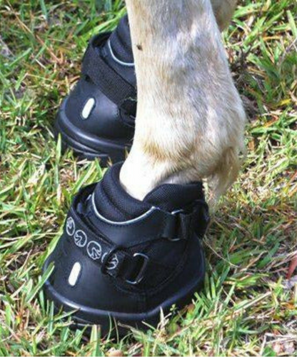 EasyCare Easyboot Transition on Horse