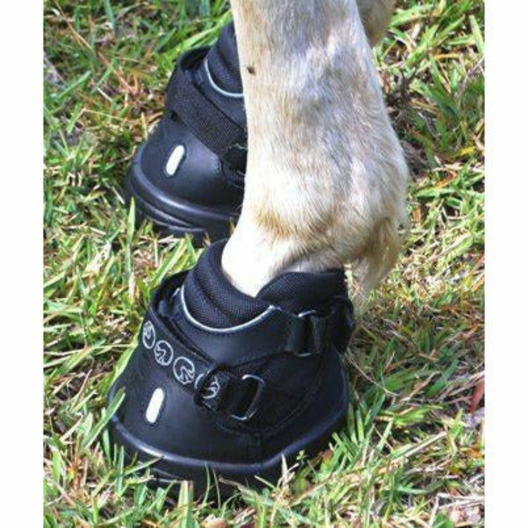 EasyCare Easyboot Transition on Horse