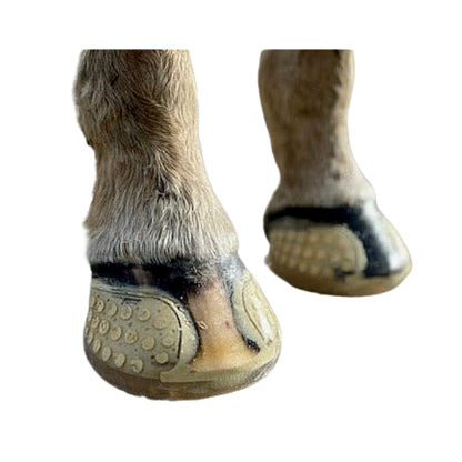 EasyCare EasyShoe Versa Grip Glue on Horse