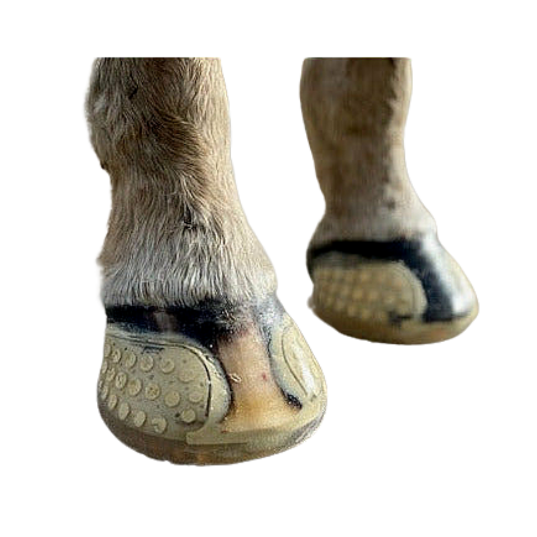 EasyShoe Versa Grip Glue - Pair Hoof Care Dark Olive Green