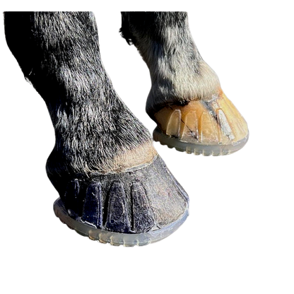 EasyCare EasyShoe Versa Grip Octo on Horse Side View