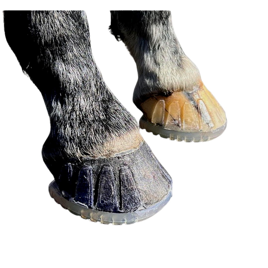 EasyCare EasyShoe Versa Grip Octo on Horse Side View