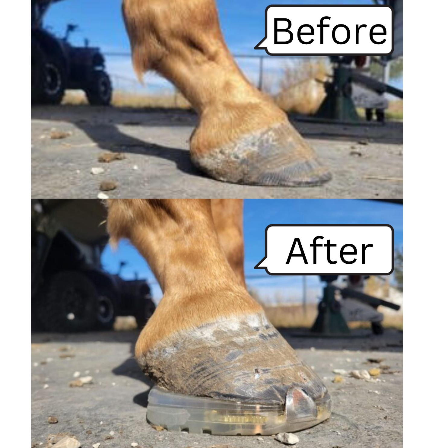 EasyCare EasyShoe Versa Grip Wedge Before and After Photo