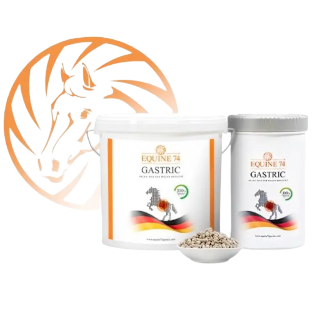 Equine 74 Gastric Horse Gear Canada