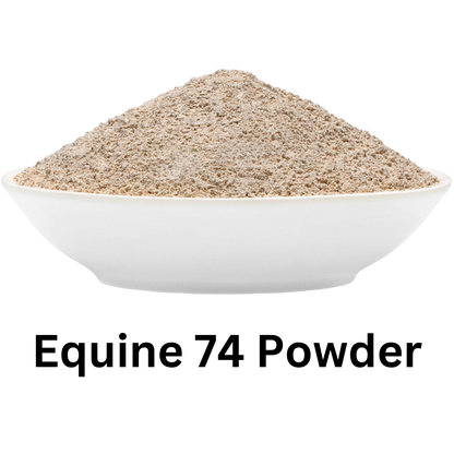 Equine 74 Gastric in Powder