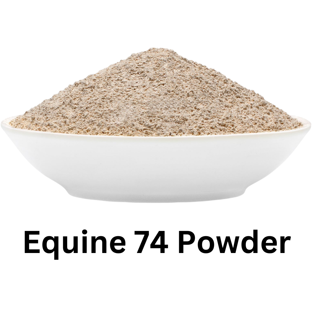 Equine 74 Gastric in Powder