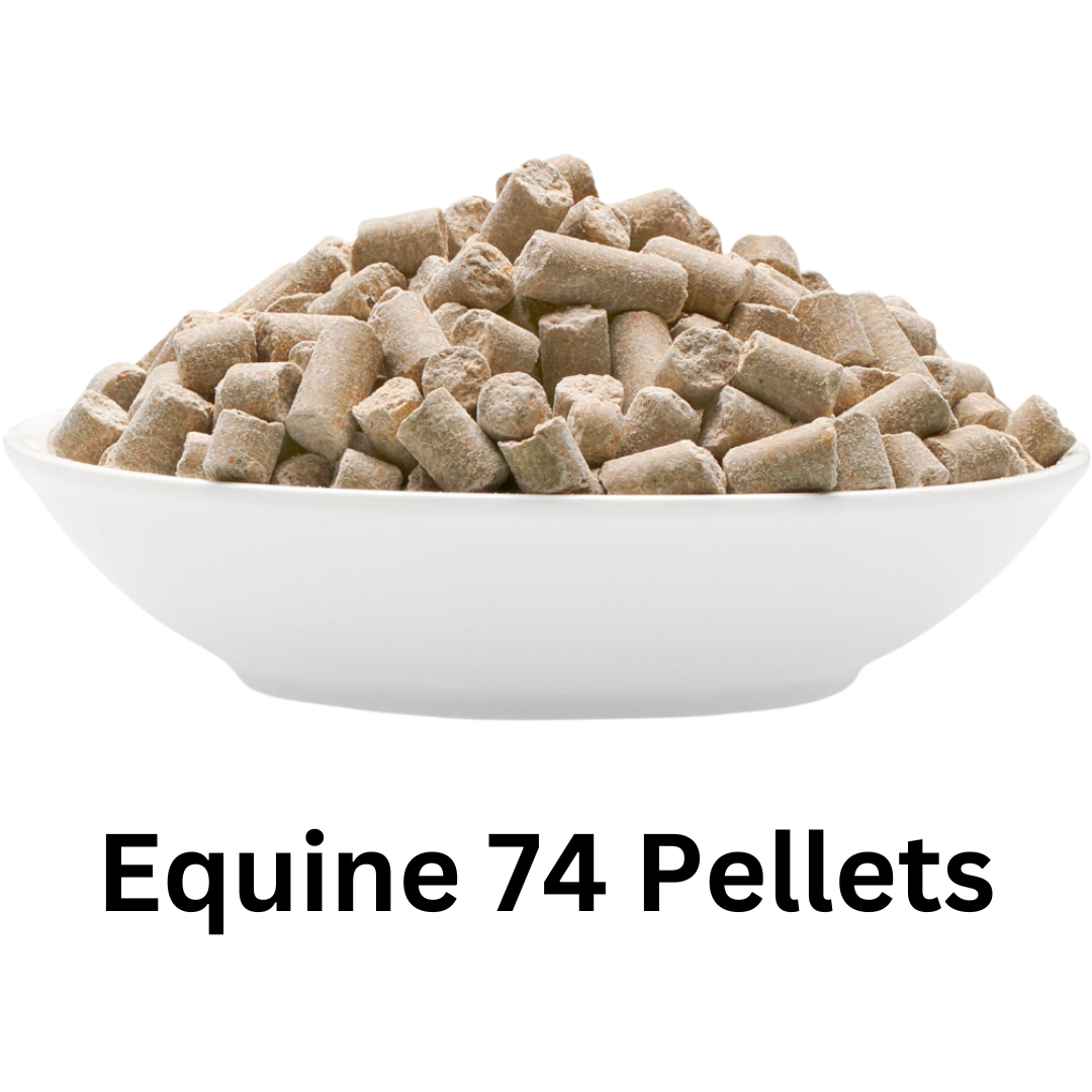 Equine 74 Gastric Free Sample Limit of 1 per customer Pellet
