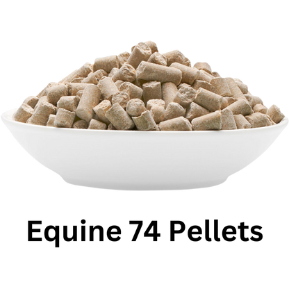 Equine 74 Gastric in Pellets