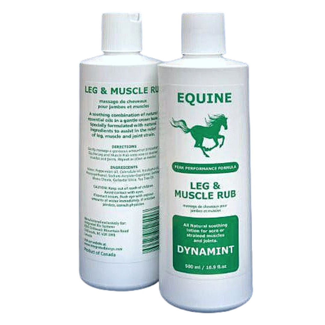 Equine Dynamint Leg and Muscle Rub Topical Wound and Skin Care Light Gray