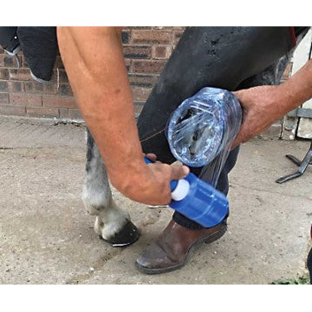Farrier Cling Put on Horse Hoof