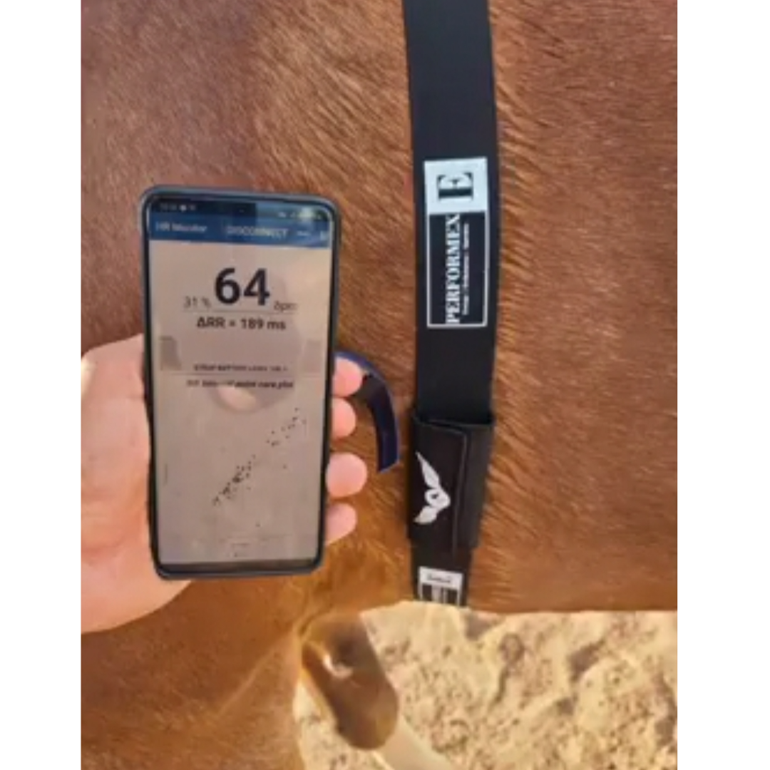 Garmin Watch & Horse Heartrate Monitor Strap App View