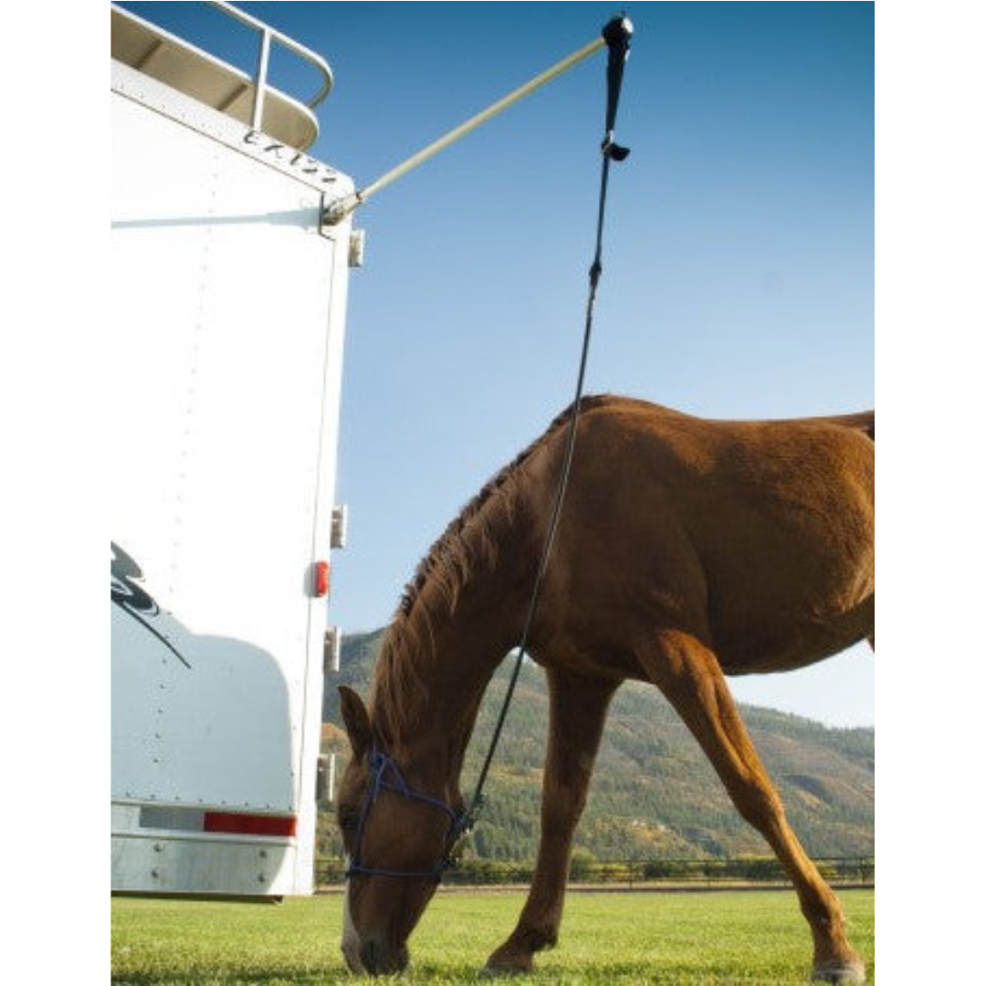 EasyCare HiTie System Attached to Horse Trailer with Horse Tied Up