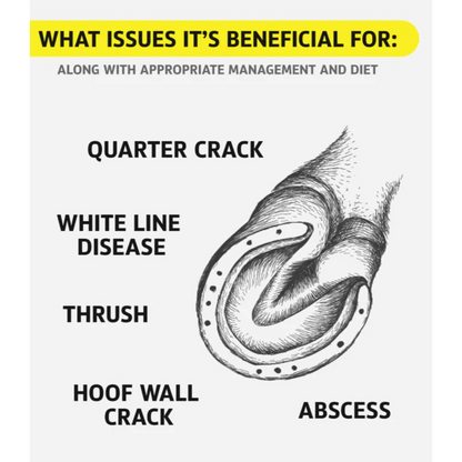 Hoof Doctor - Liquid Benefits
