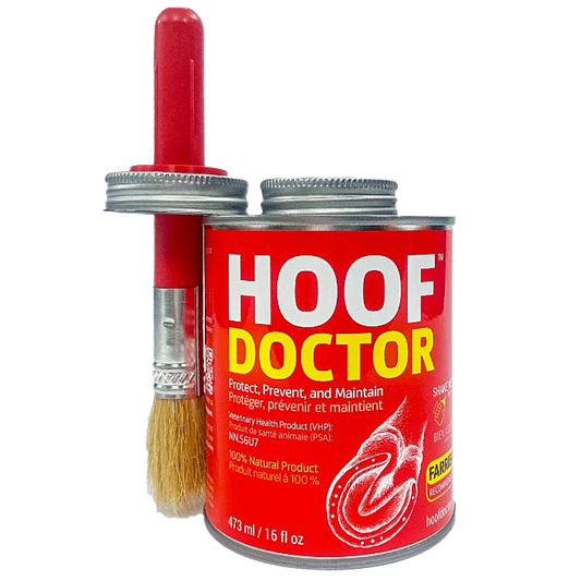 Hoof Doctor - Liquid Hoof Care Pale Goldenrod